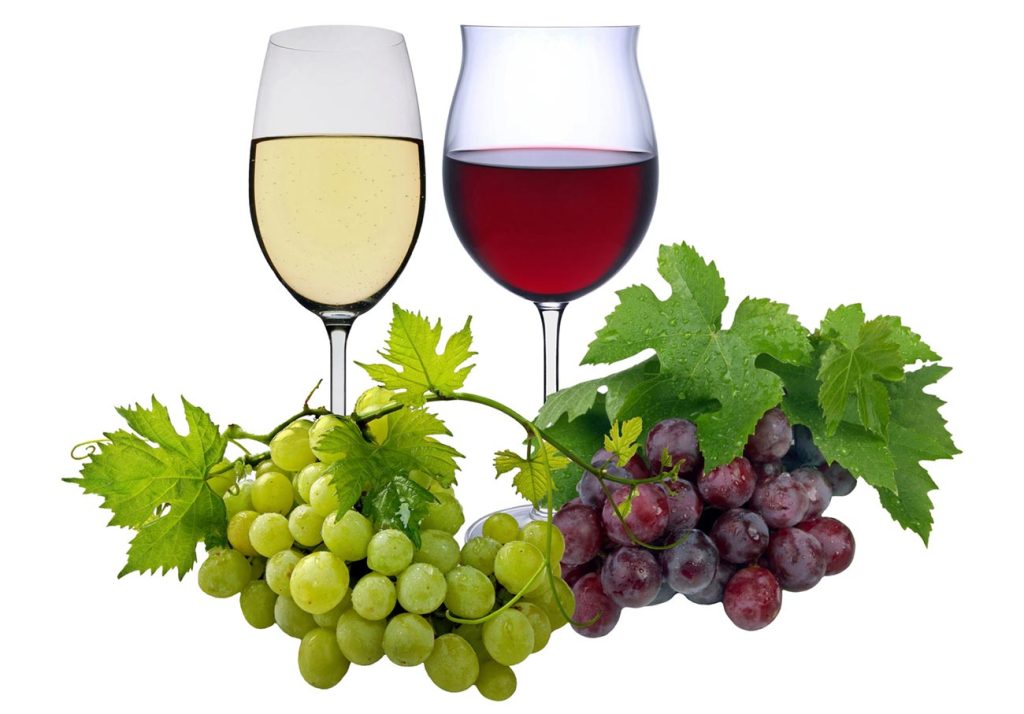 Wein Rotwein weißwein
