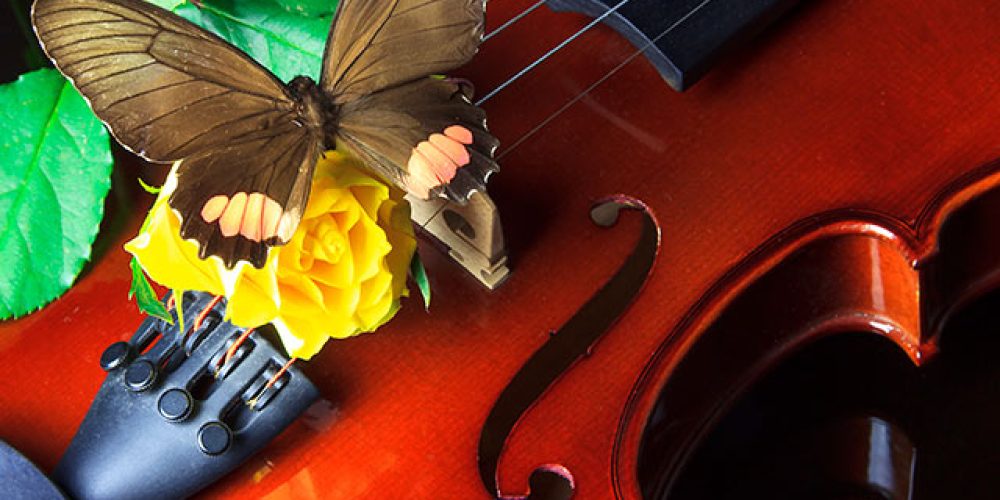 Meißen – Veranstaltungen Juni 2025