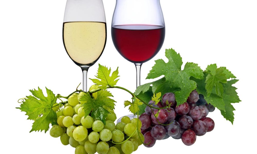 Wein Rotwein weißwein