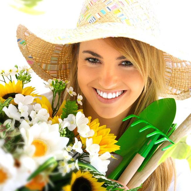 Pillnitzer Gartenwochenende