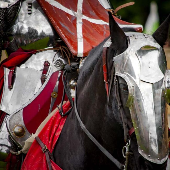 Pfingst-Ritter-Turnier Schloss Trebsen