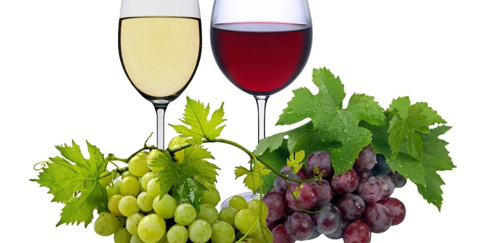 Veranstaltungstipps Sachsen September 2025