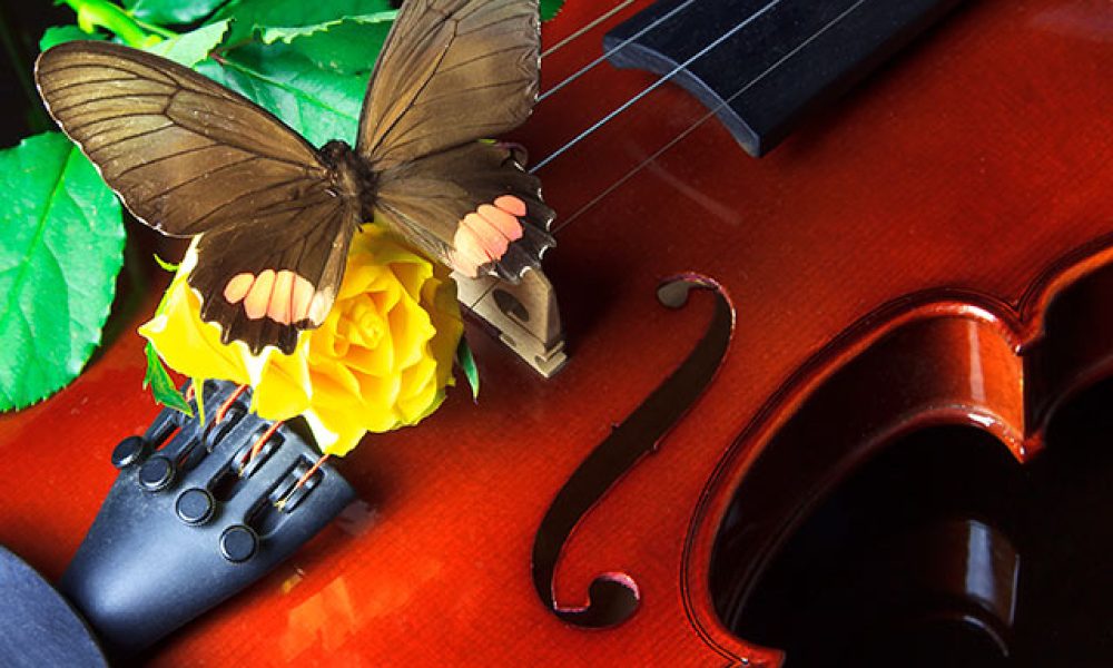 Violine