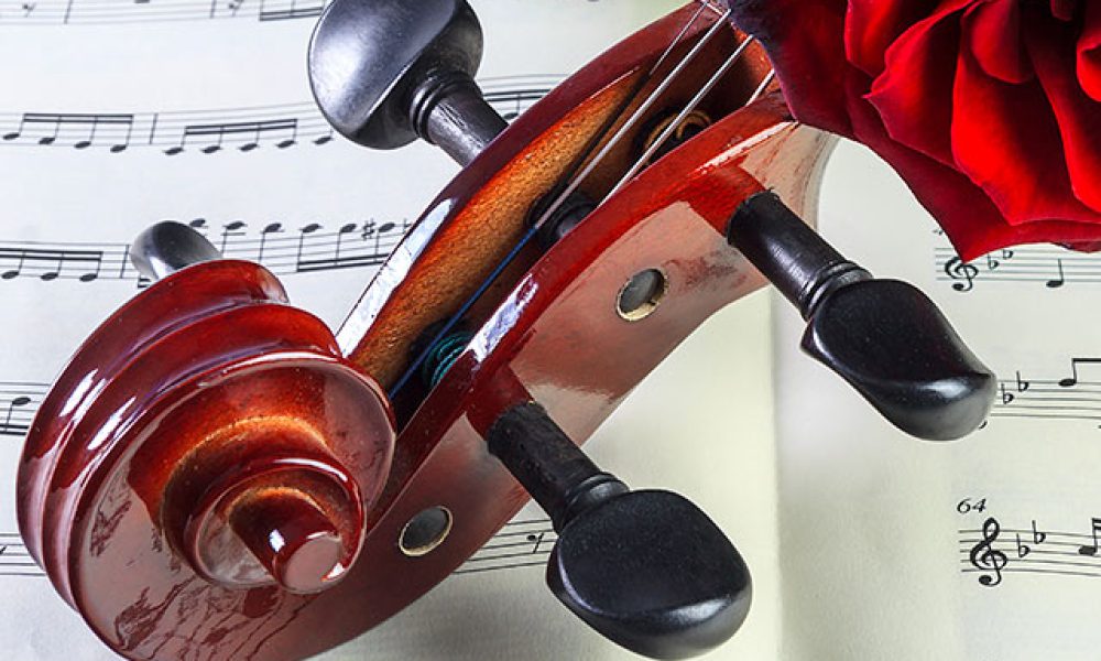 Violine